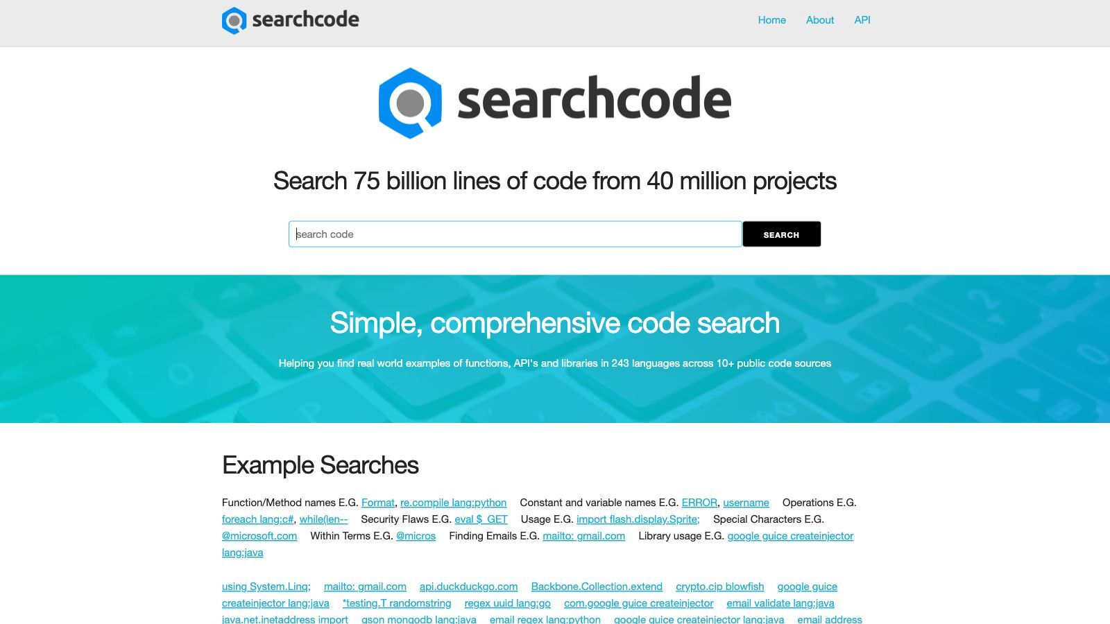 Startseite Suchmaschine SearchCode